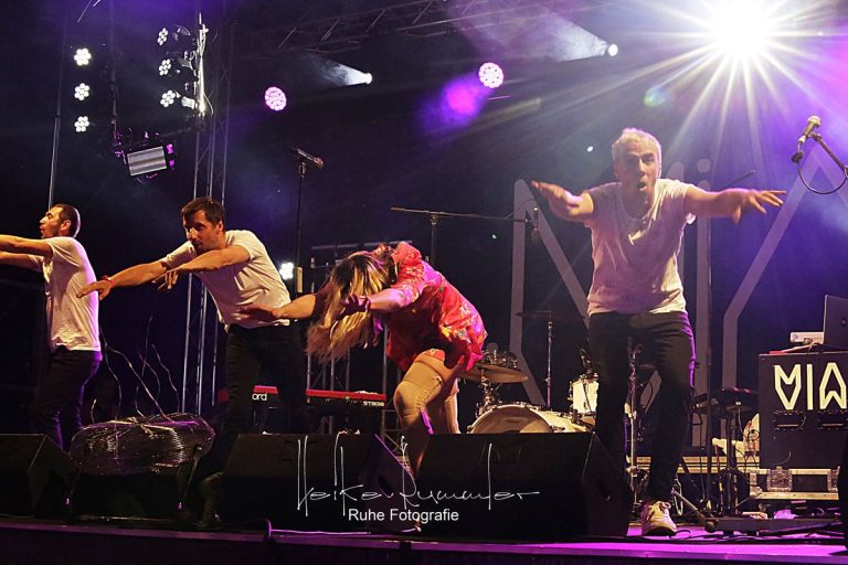 Blankit Festival 2019, Impression 8